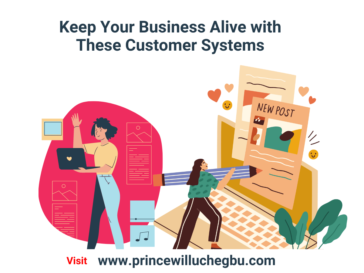 Keep Your Business Alive with These Customer Systems - princewilluchegbu.com