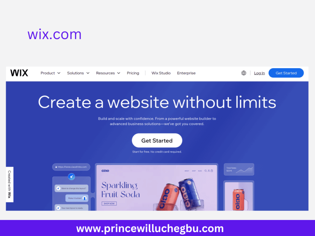 Best Blogging Platforms - Wix www.princewilluchegbu.com