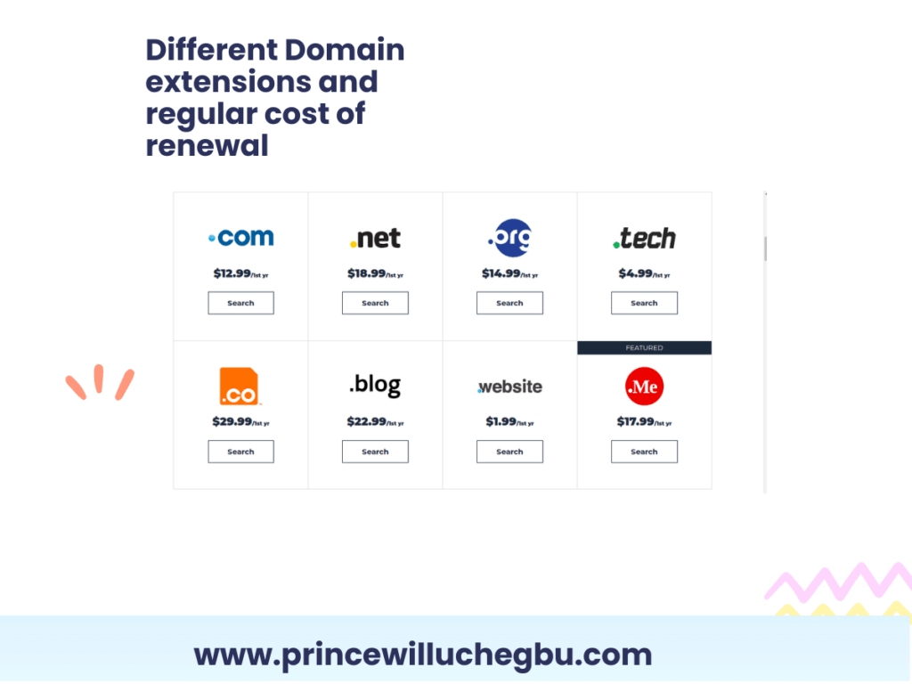 How Much Does It Cost to Start a Blog Different Domain extensions and regular cost of renewal princewilluchegbu.com