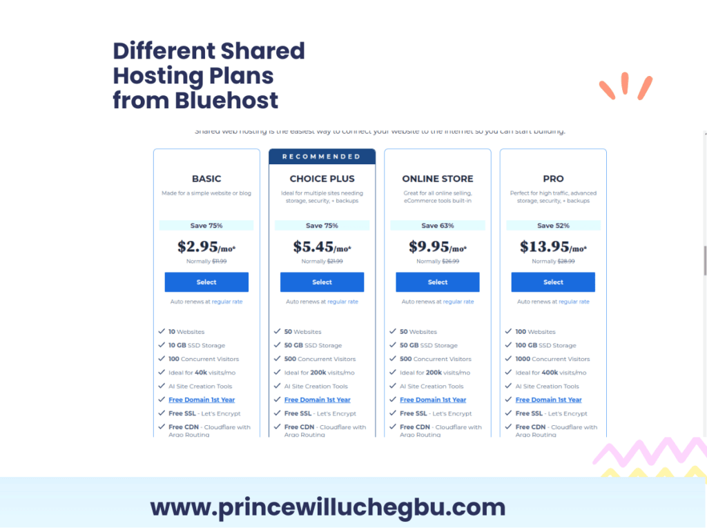 How Much Does It Cost to Start a Blog Different Shared Hosting Plans from Bluehost princewilluchegbu.com