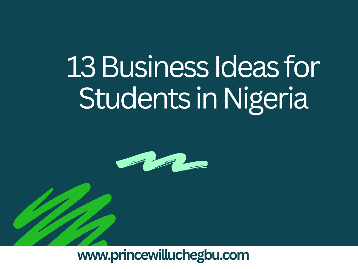 13 Business Ideas for Students in Nigeria